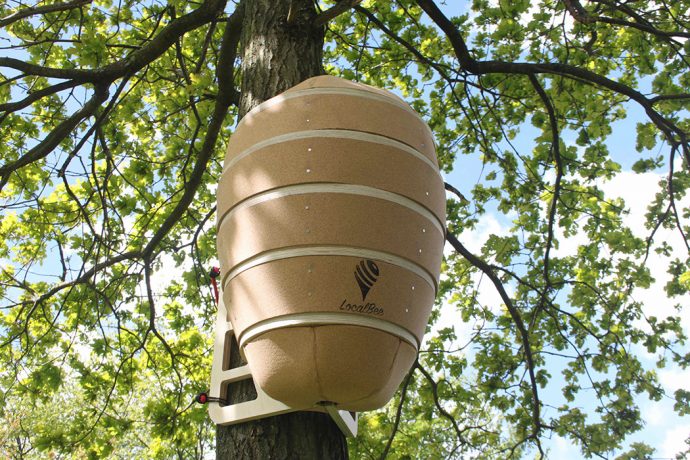 A Buzzworthy Beehive