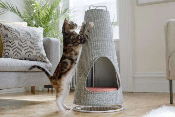 No More Shredded Sofas!