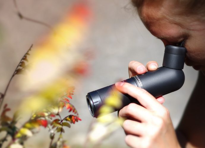 The Microscope is Making a Comeback