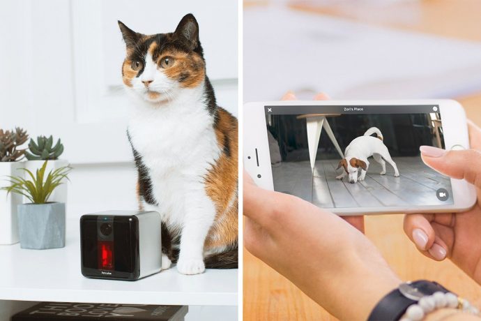 You and Your Pet, Furever Connected!