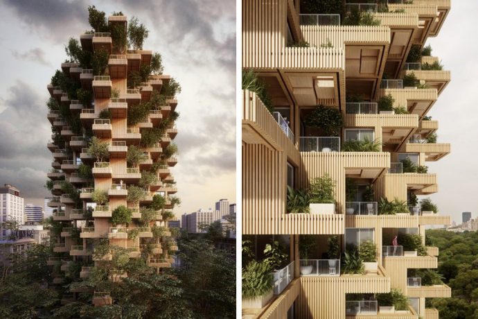 Toronto and the beanstalk!