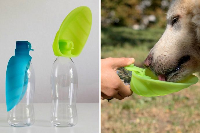 Literally a ‘PET’ bottle!
