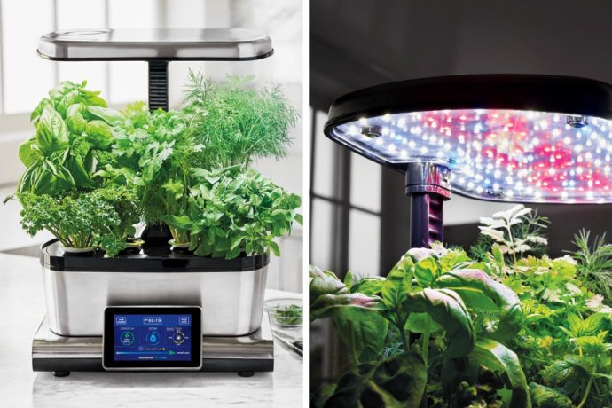 Your Own Homegrown Veggie Zone