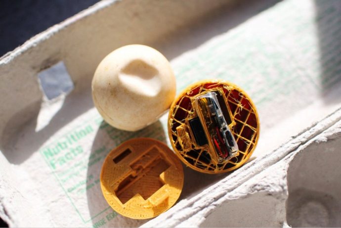 An ‘Egg’cellent idea