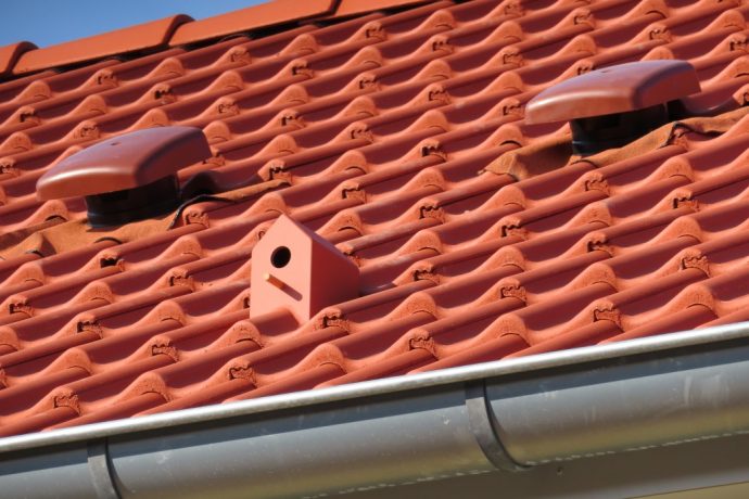 A roof for you, a home for your furry friends