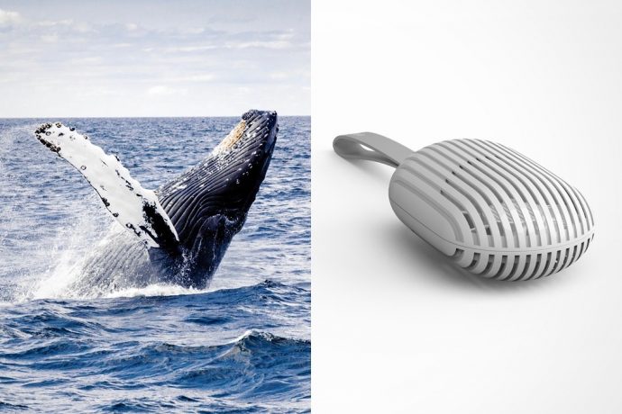 You Whale Love This Design!