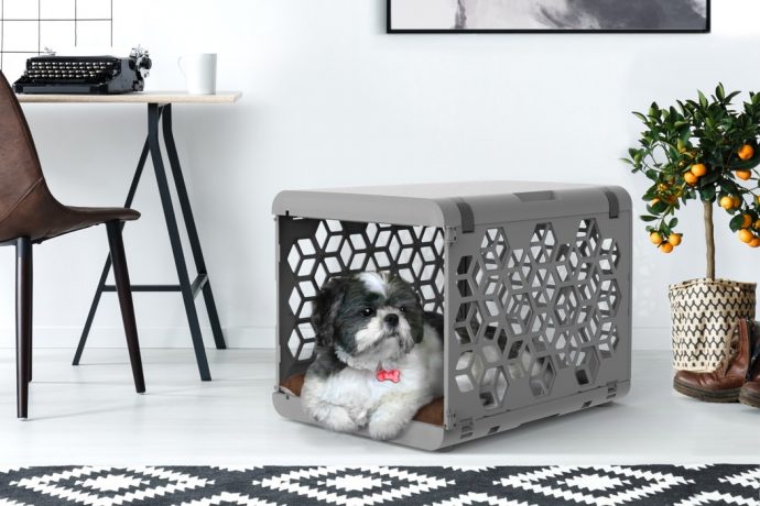 A Zen Den for Your Furry Friend!