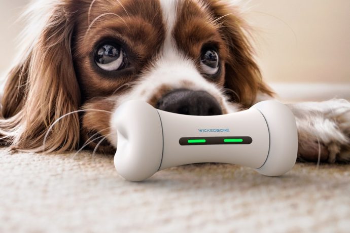 A Boredom-preventing Bone!
