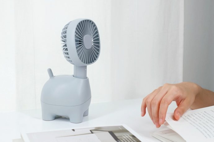 A Friendly and Fun, Fan!