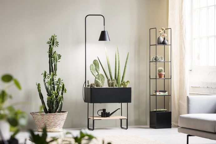 Furniture For Your Plant Friends