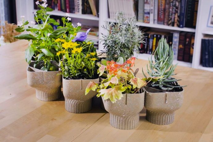 The Waste-not-want-not Flower Pot