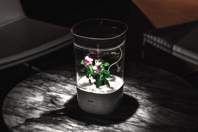 The Bloomengine is AI that Grows your Plants for You
