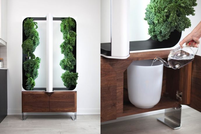 Handsome Hydroponics