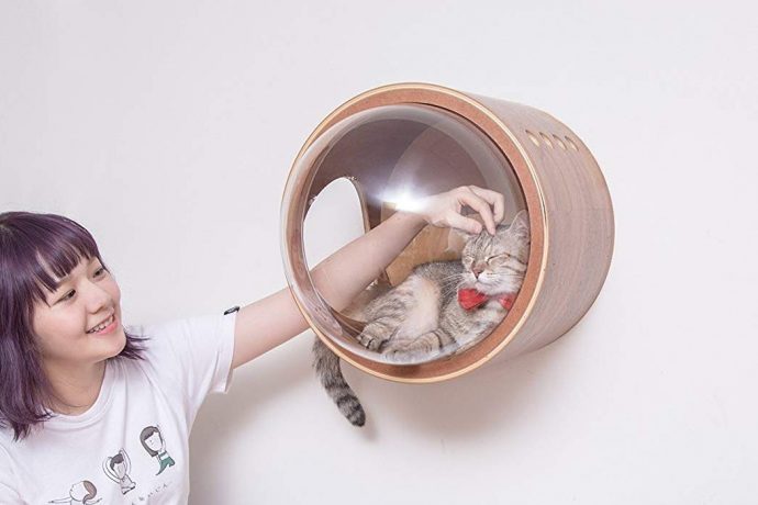 A Purrrfect Perch