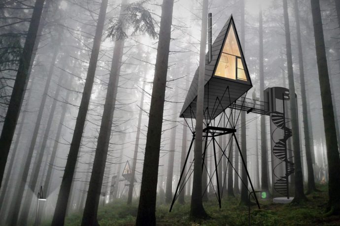 A treetop house with a rooftop design