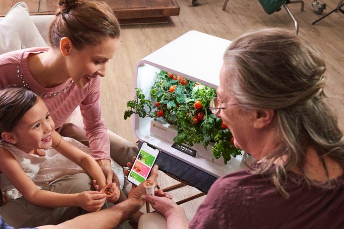 Produce Fresh Vegetables in The Comfort of Your Home!