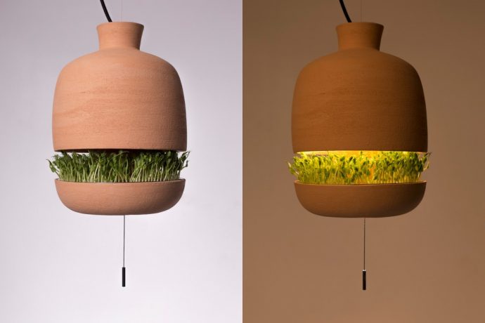 A lamp with a herb-garden? Yes please!