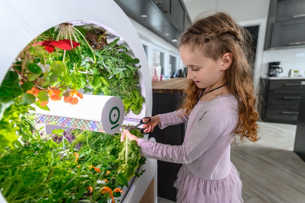 A Semantic-Based Approach to Modelling Smart Indoor Kitchen Garden
