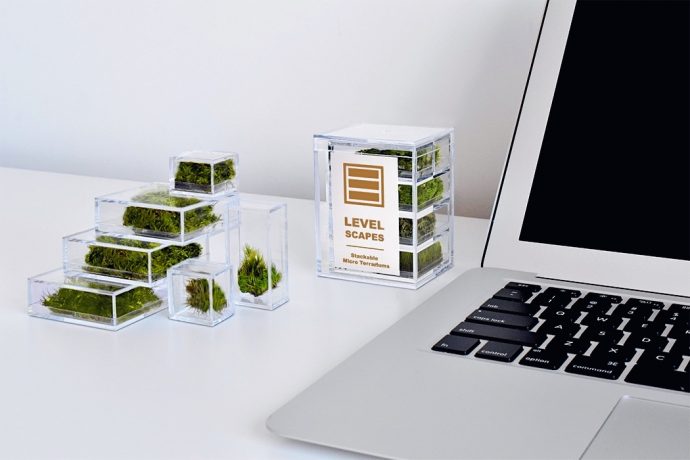 Playable, stackable terrarium blocks that bring mother nature to your desk!