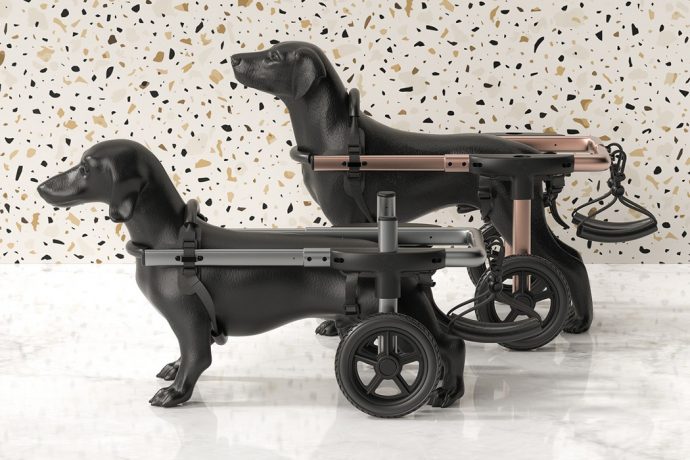 Petdali’s pet wheelchair gives Lassie extra feet