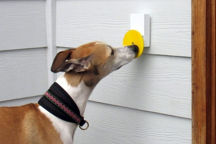 The Pebble Doorbell is exclusively made for your pets to ring!