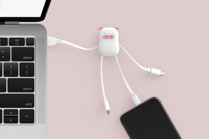 pets_cable_adapter_layout
