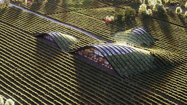 Architectural designs that focus on humans and nature alike!