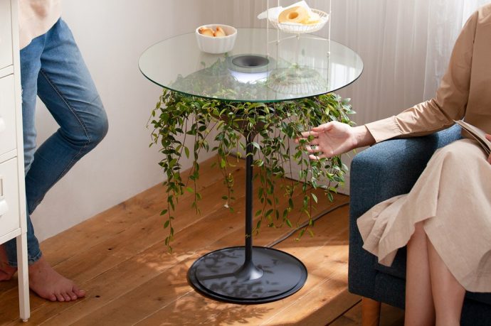 The Oasis planter is actually a side table with lamp
