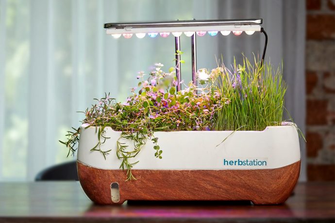 You know what’s quicker than telling Alexa to order you herbs? Growing them!