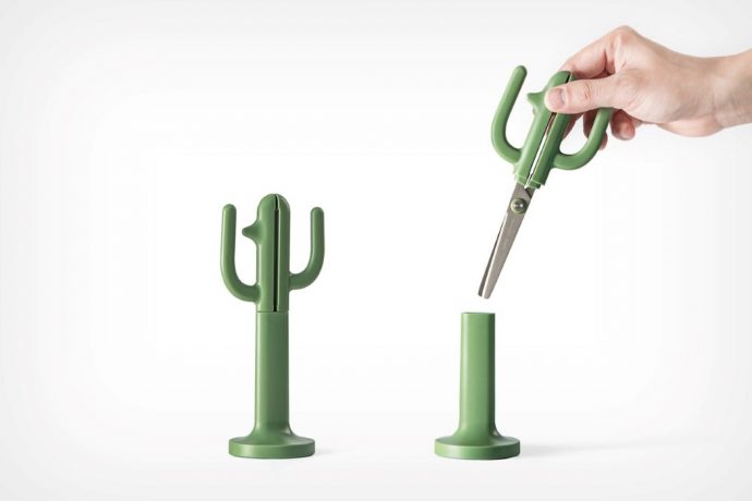 A cactus that cuts paper!