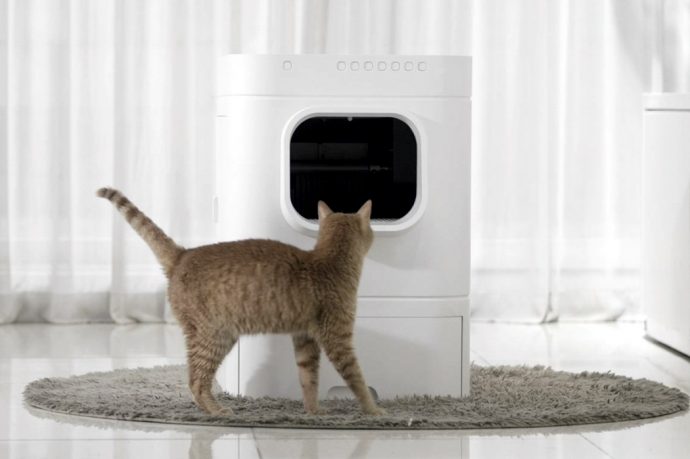 LavvieBot S is an IoT enabled, self-cleaning litter box for cats