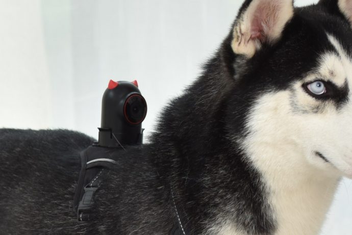 The PetNow is a first perspective camera for your pets!