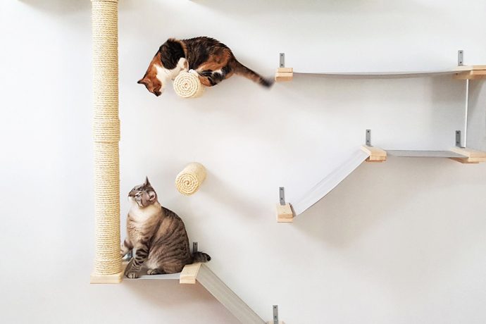 Entice and Entertain your cats with these product designs!