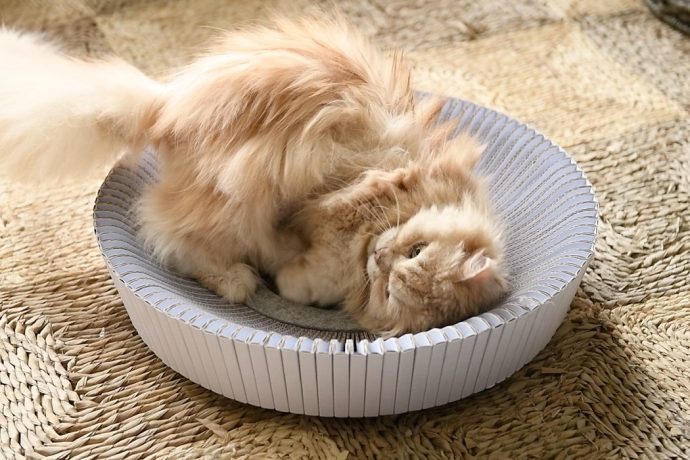 This scratching post + bed is everything our furry feline overlords need