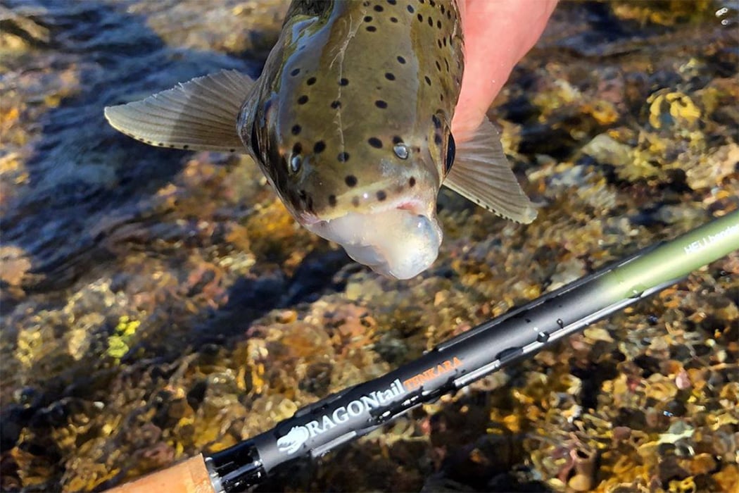 This 3-Tenkara-rods-in-1 is perfect for small stream fishing to