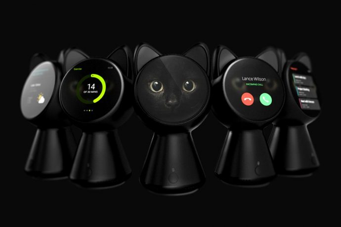 Lucky Black Cat is IoT enabled and controls your home