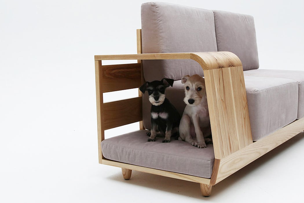 A Pet Friendly Sofa Made Just For You And Your Pawfect Buddy