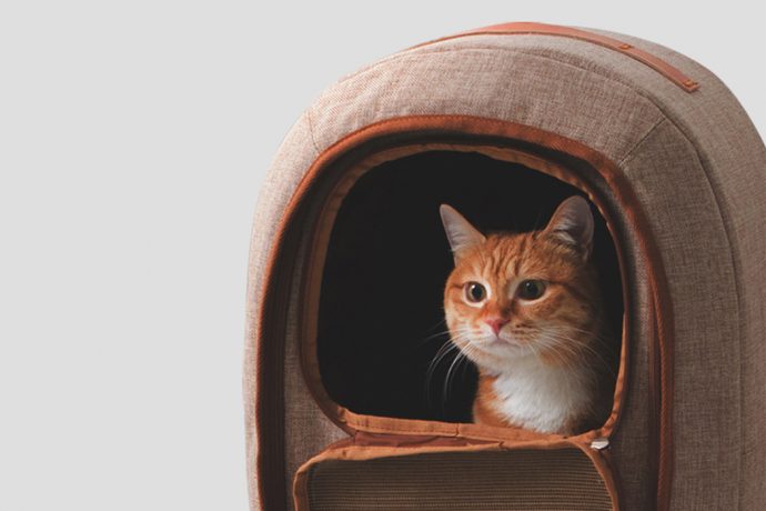 Doubling as a backpack, travel carrier and a bed, this is no ordinary pet carrier bag!