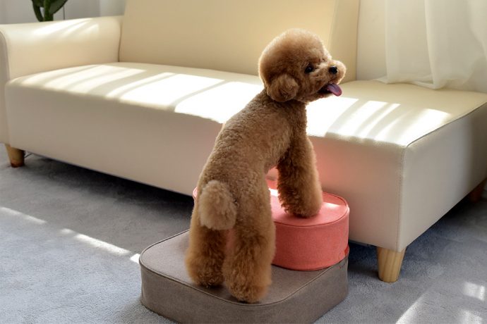 Stackable cushions to keep your little pet safe while helping them climb!