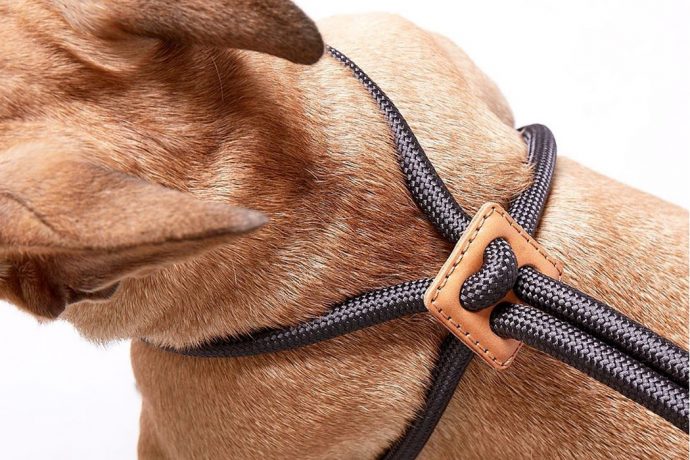 A luxurious range of handmade pet accessories that fuses functionality with style!