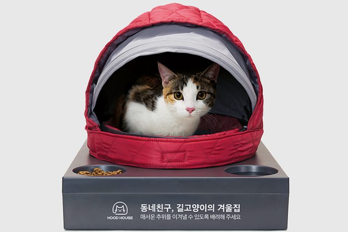 Repurposing winter jackets led to these portable cribs for stray cats!