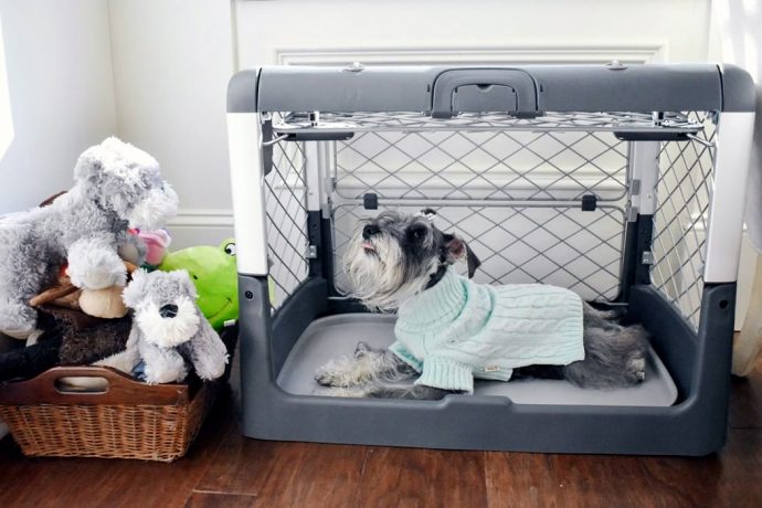 Safety comes first with this collapsible dog crate!