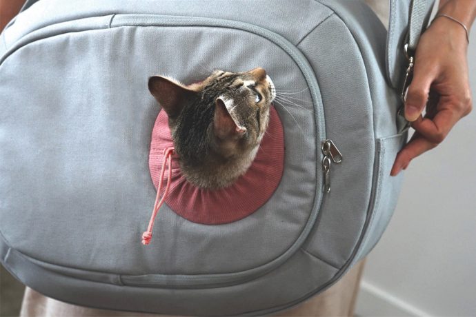 A carrier bag for your pets to avoid claustrophobia!