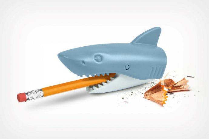 This great white ‘sharkener’ is on a special diet of blunt pencils…