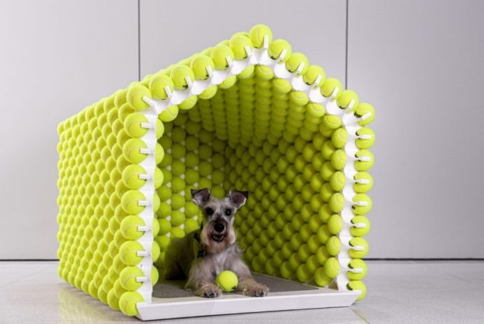 The best doghouse for your best-boy!