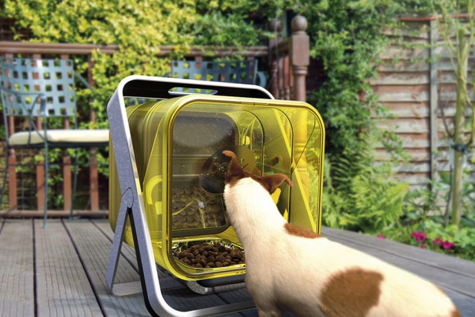 A protected outdoor dog feeder that safeguards your pet against Lungworm!