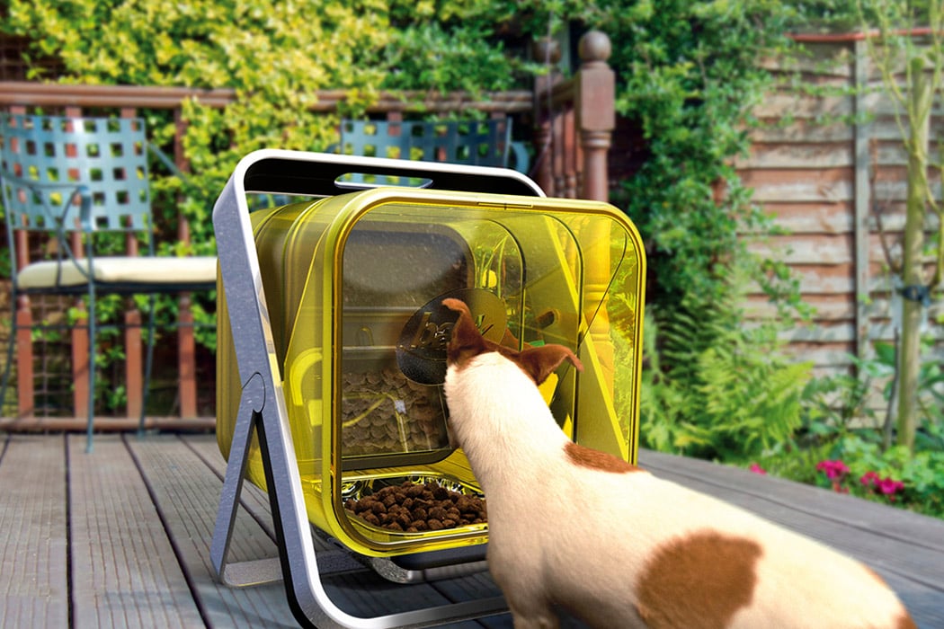 Outdoor Dog Food Dispenser