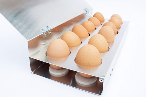 https://www.yankodesign.com/images/design_news/2020/02/eggcellent-case/01-eggcase_yankodesign-510x340.jpg