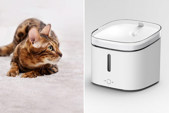 Animal psychology governs the design of this smart pet water dispenser