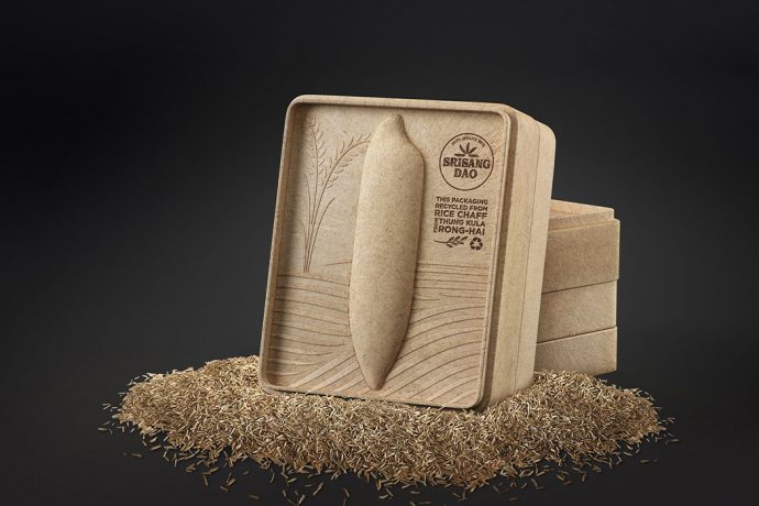 Sustainable rice packaging becomes an artistic tissue box in afterlife